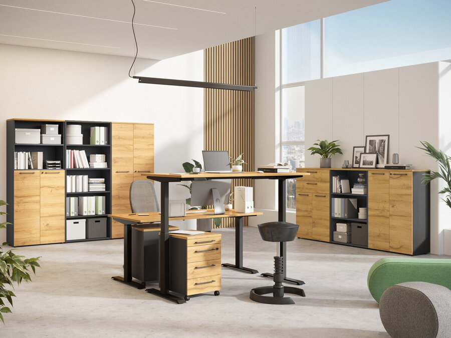 Möbel-Kollektion Eliromo