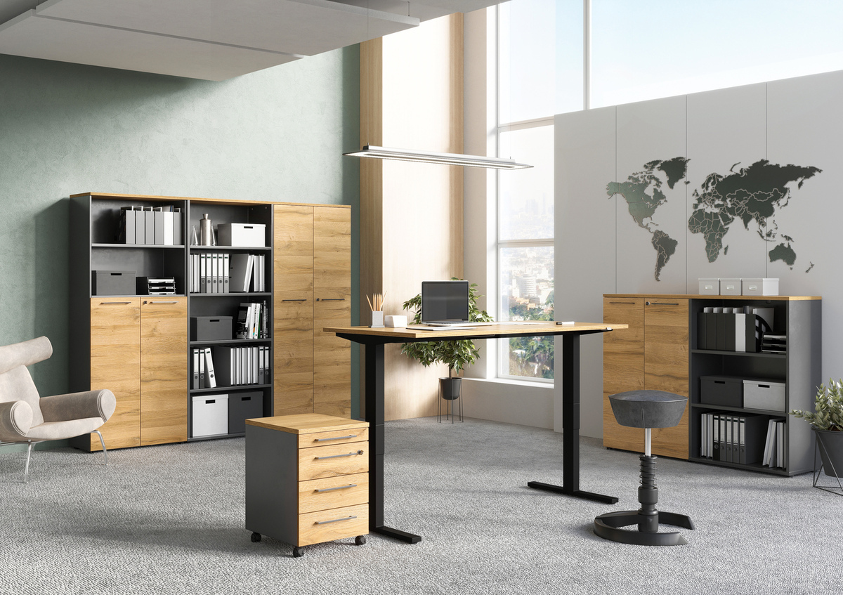 Regal Eliromo 105 (Graphit + Grandson Eichenholzoptik)