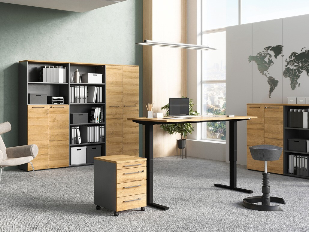 Regal Eliromo 106 (Graphit + Grandson Eichenholzoptik)