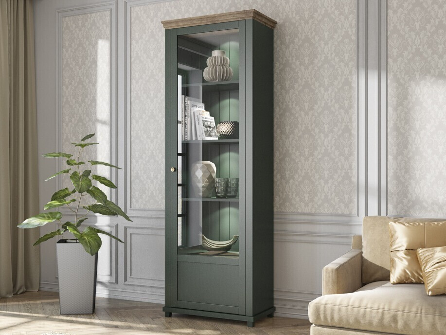 Regal Tolnue 101 (Dunkelgrün + Lefkas-Eiche)