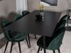 Essgruppe Dallas 1509 (Grün + Schwarz)