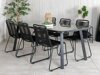 Tisch und Stühle Dallas 2477 (Schwarz)