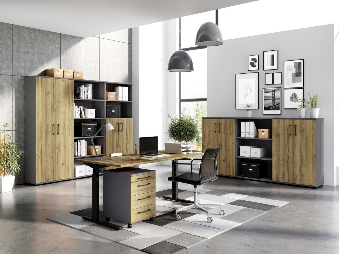 Regal Lartesi 103 (Graphit + Grandson Eichenholzoptik)