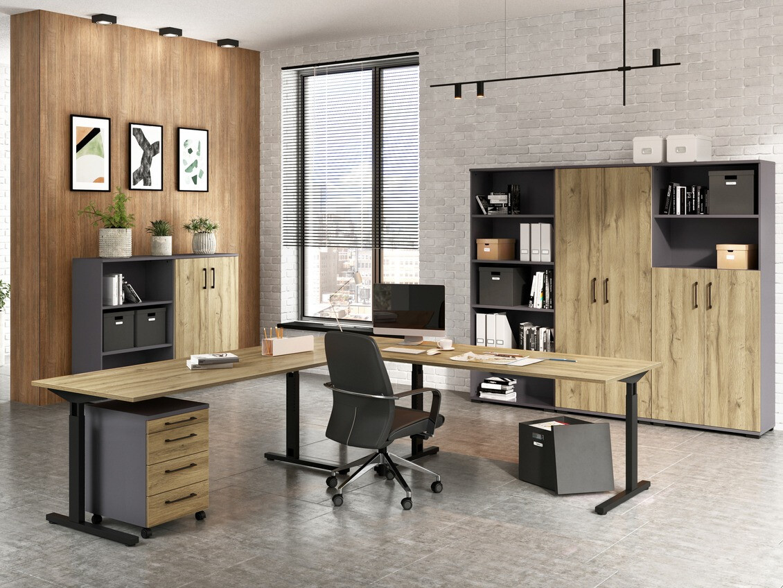 Regal Lartesi 103 (Graphit + Grandson Eichenholzoptik)