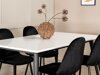 Essgruppe Dallas 2730