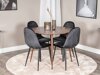 Essgruppe Dallas 1557