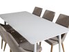 Essgruppe Dallas 1834