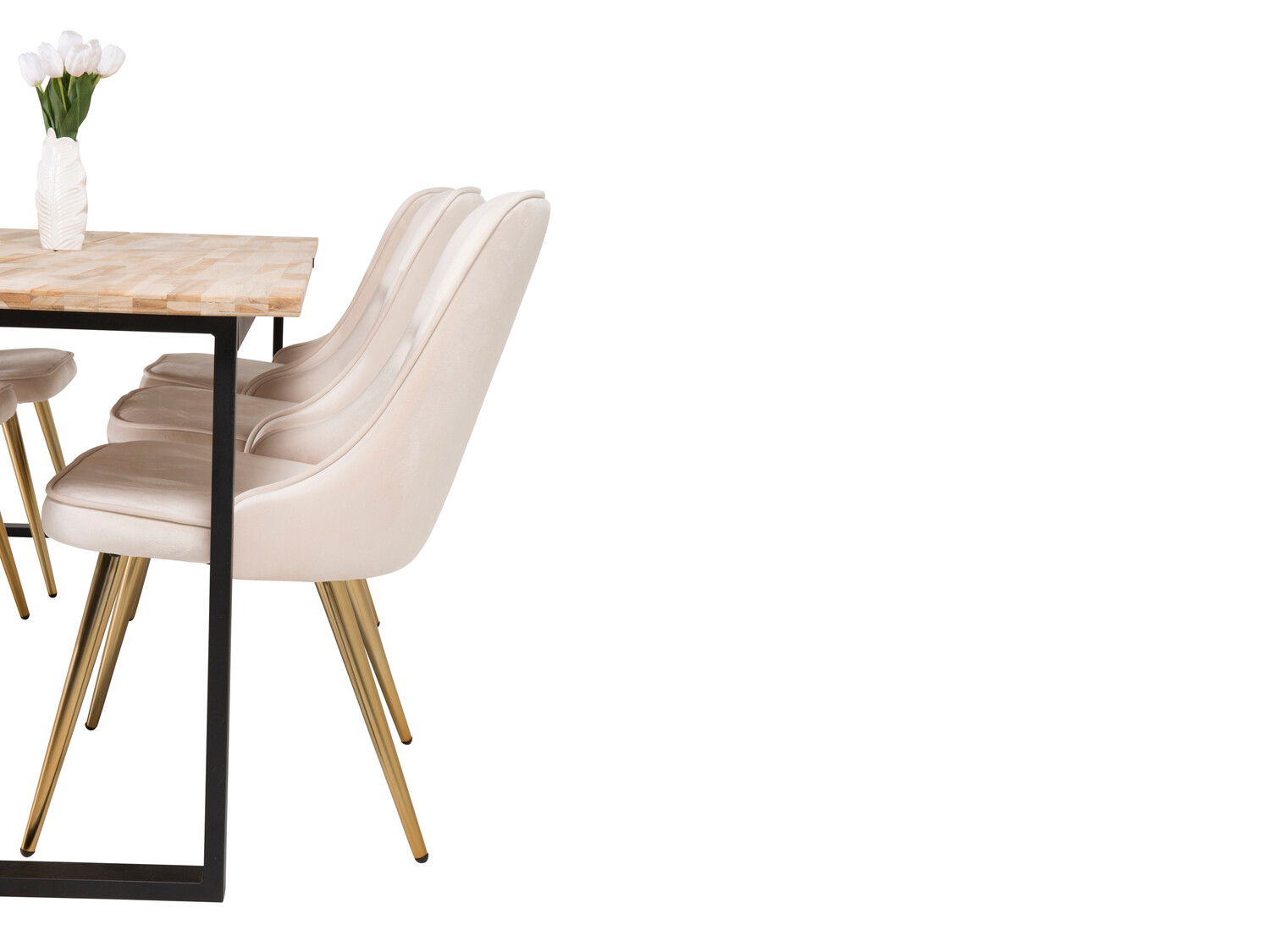 Essgruppe Dallas 2092