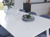Essgruppe Dallas 2460