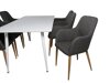 Essgruppe Dallas 2472