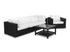 Gartenmöbel-Set Comfort Garden 219