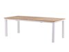 Gartentisch Dallas 810