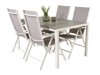 Tisch und Stühle Dallas 2752 (Grau + Weiß)