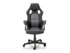 Bürostuhl Houston 1340 (Grau + Schwarz)