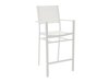 Garten-Barhocker Dallas 3844