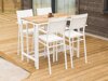 Garten-Barhocker Dallas 3844