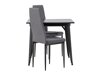 Essgruppe Dallas 3849