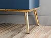 Regal Flonovu 101 (Dunkelblau + Gold)