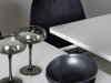 Essgruppe Dallas 3938