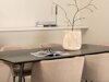 Essgruppe Dallas 2569 (Beige + Schwarz)