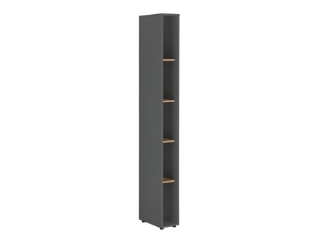 Regal Elbsori 105 (Anthrazit + Wotan Eiche)