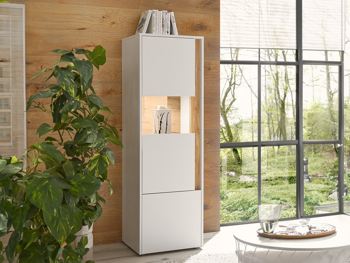 Regal Elbsori 102 (Weiß + Wotan Eiche)