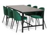 Stuhl Charleston 121 (Grün + Schwarz)