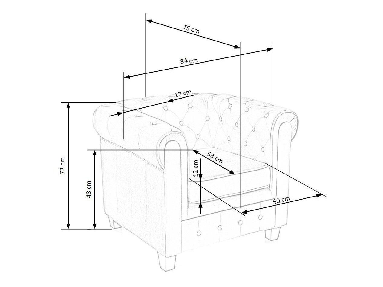 Chesterfield sessel Houston 1352 (Grau)