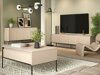 Sideboard Fernolu 103 (Beige + Schwarz)