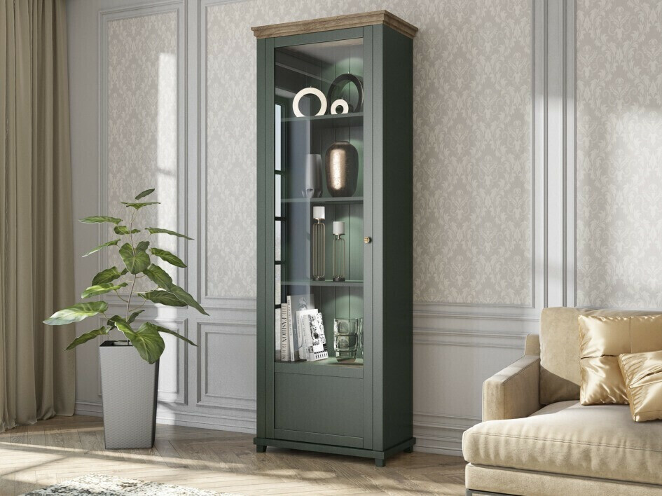 Regal Tolnue 101 (Dunkelgrün + Lefkas-Eiche)