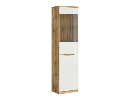 Regal Avifera 105