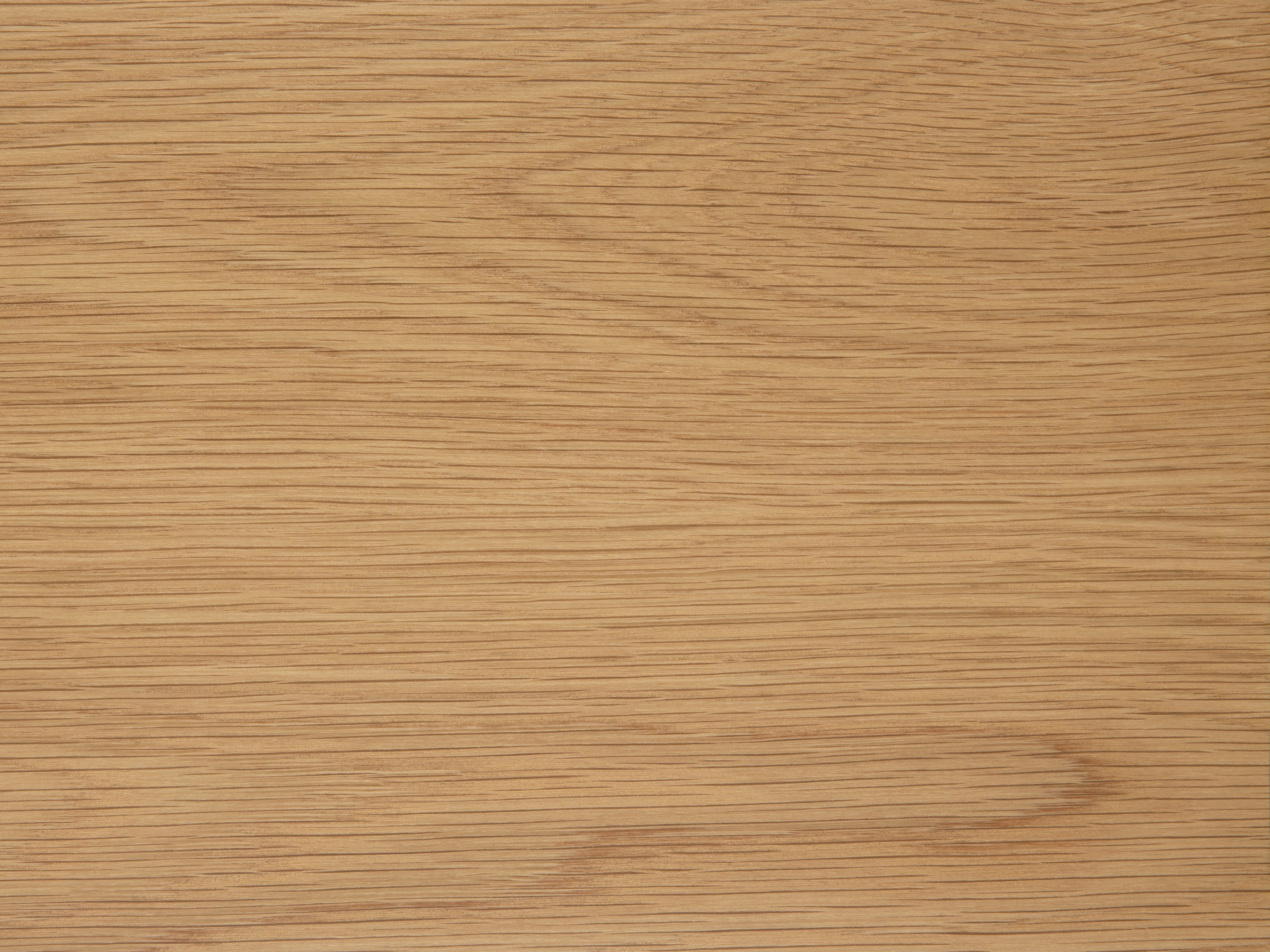 Stuhl Norsica 319 (Eichenholzoptik)