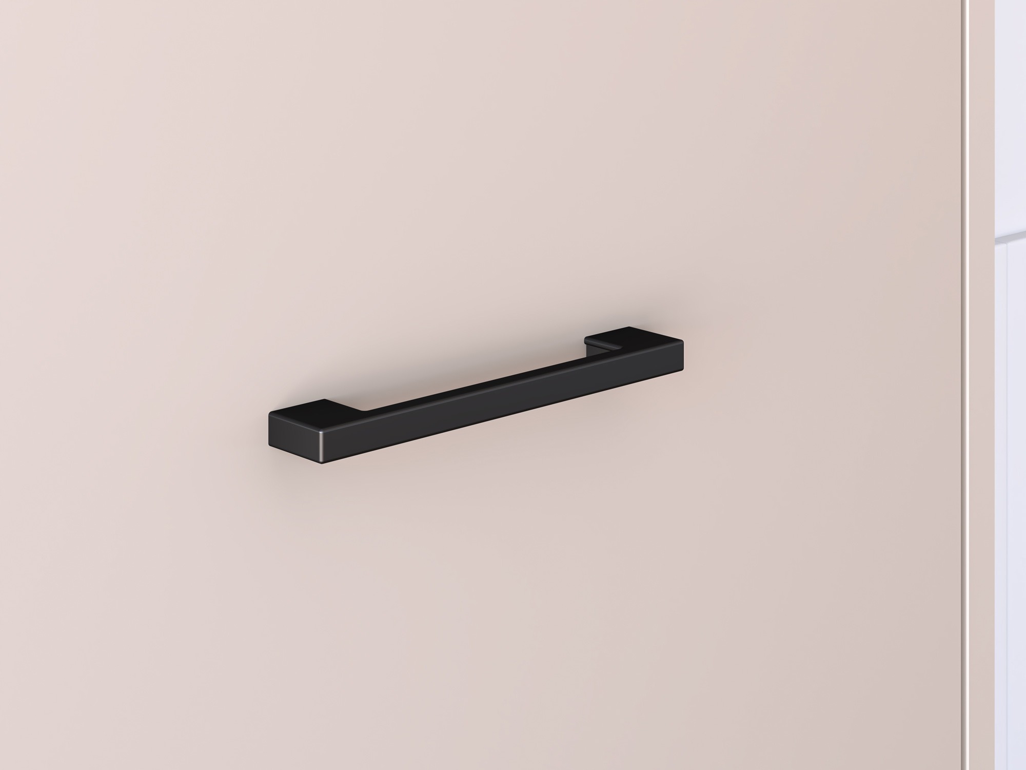 Kleiderschrank Fiolevo 100