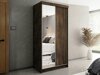 Kleiderschrank Dover 103 (Esche dunkel)