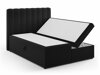 Boxspringbett Beckley 113 (Bluvel 19)