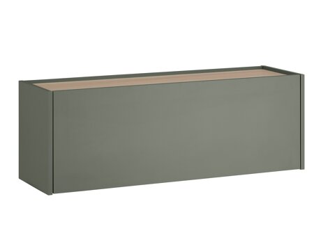 Hängeschrank Elbsori 109 (Grün + Eichenholzoptik)