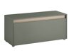 Schuhschrank Elbsori 163 (Grün)