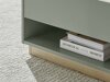 Couchtisch Elbsori 123 (Grün + Eichenholzoptik)