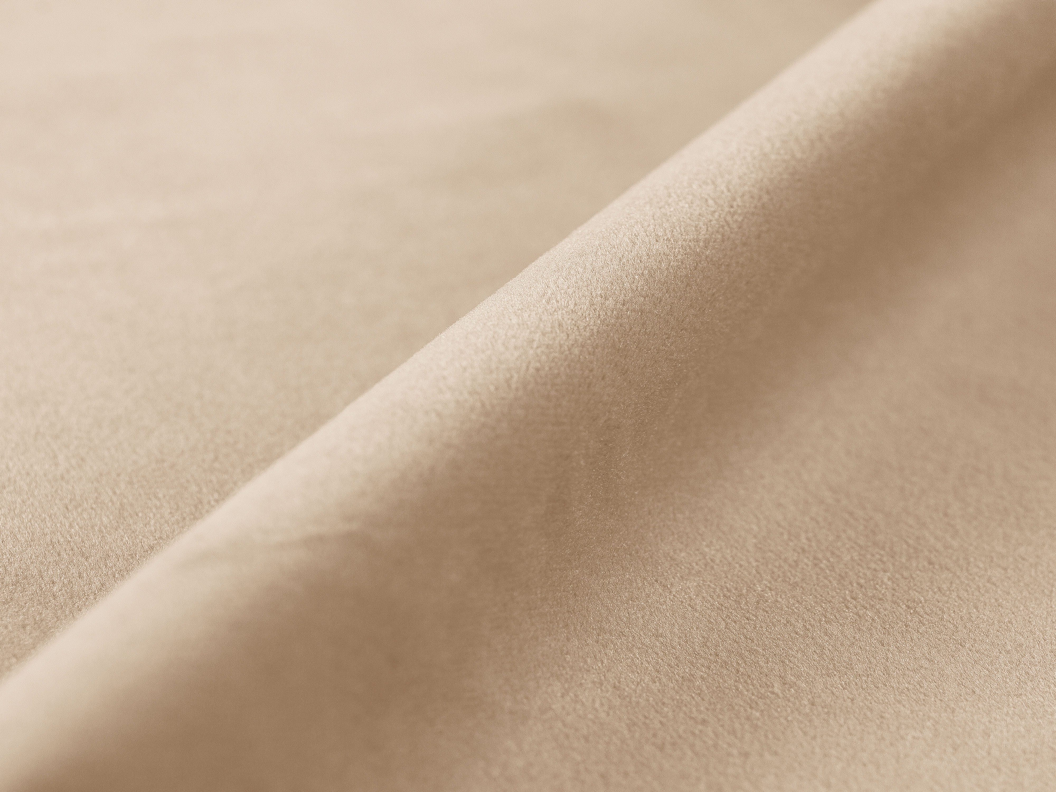 Schlafsofa Beckley 204 (Paris Beige)