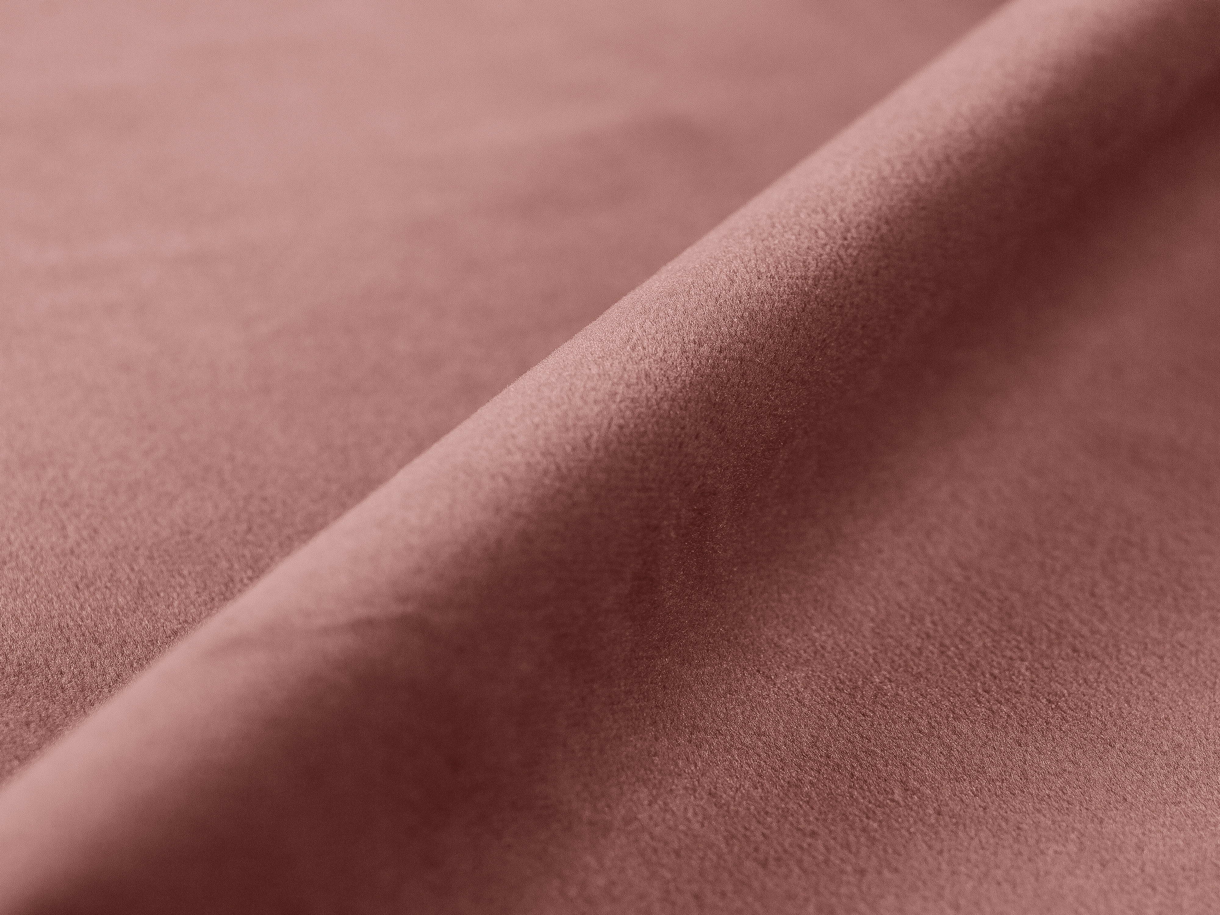 Schlafsofa Beckley 204 (Paris Salmon)