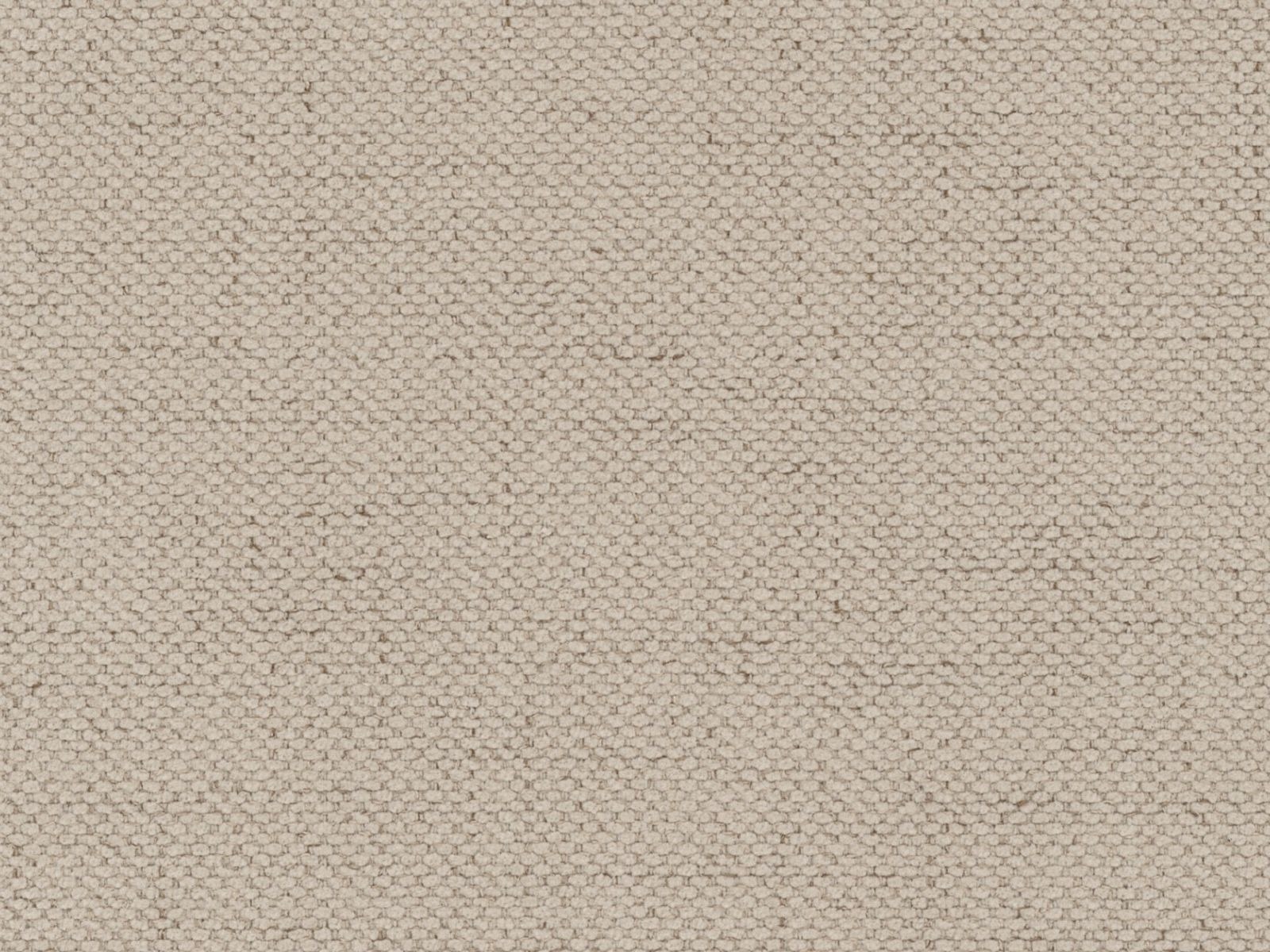 Bett Beckley 205 (Moly 11)