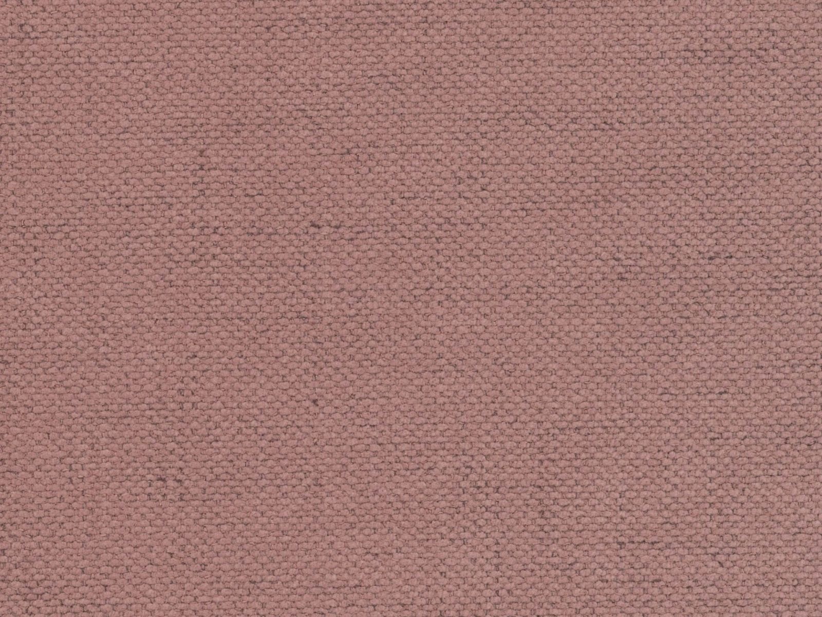 Bett Beckley 205 (Moly 63)