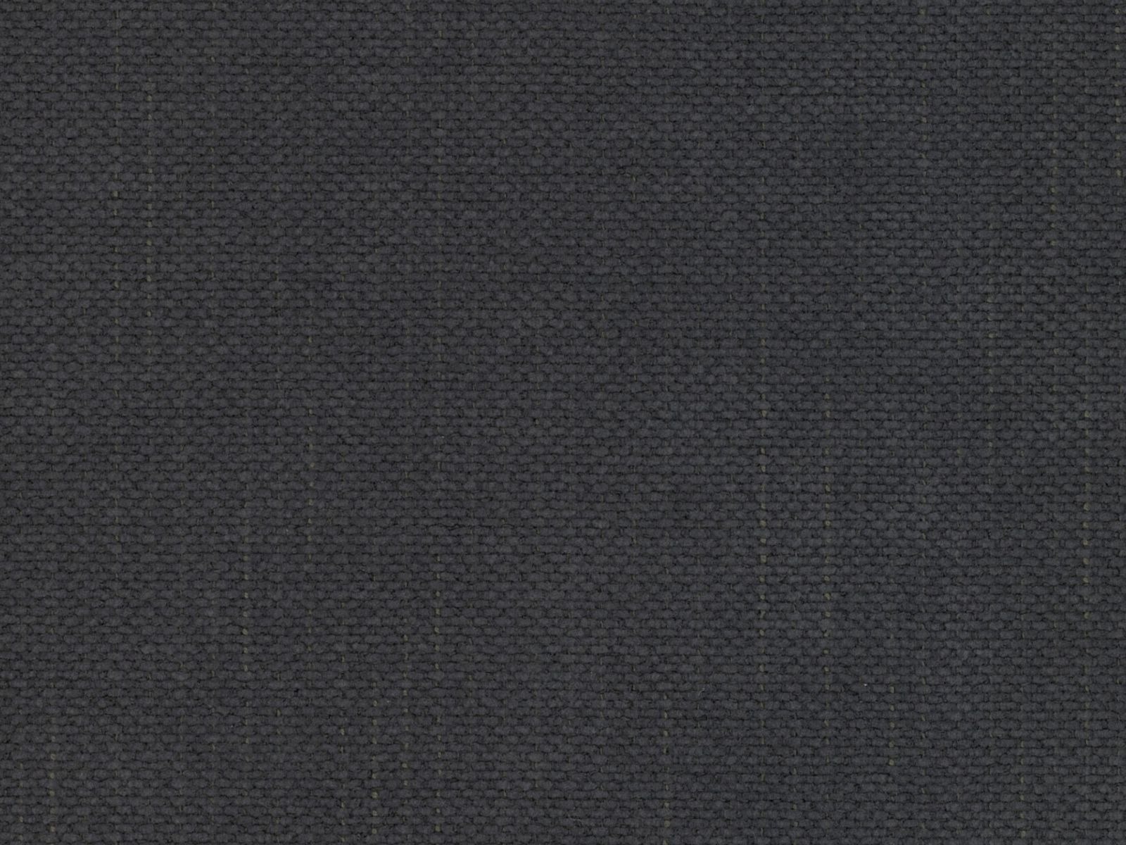 Bett Beckley 205 (Moly 97)