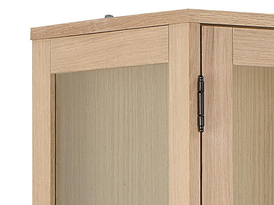 Regal Norsica Elmdome 114