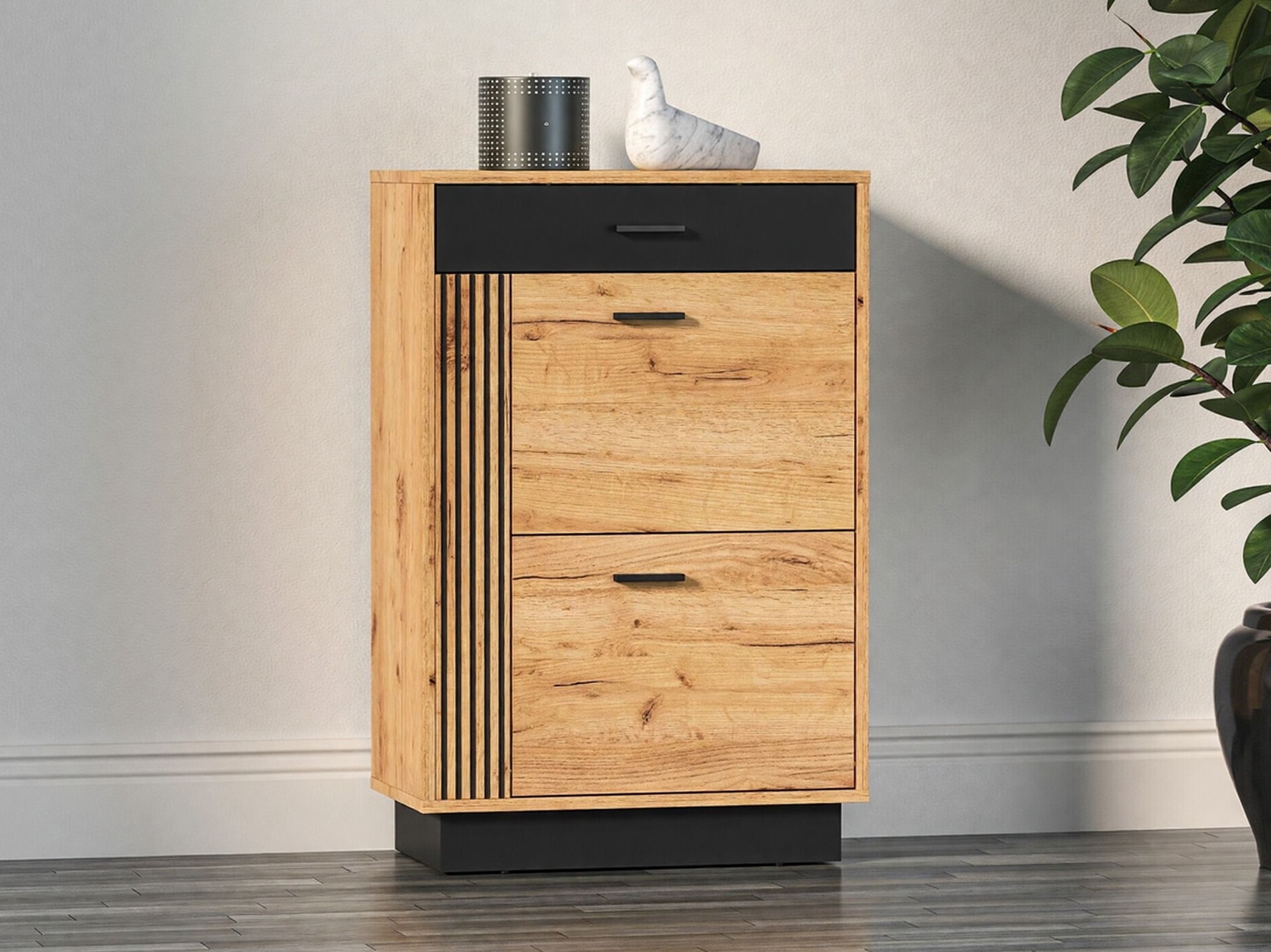 Schuhschrank Revcire 103