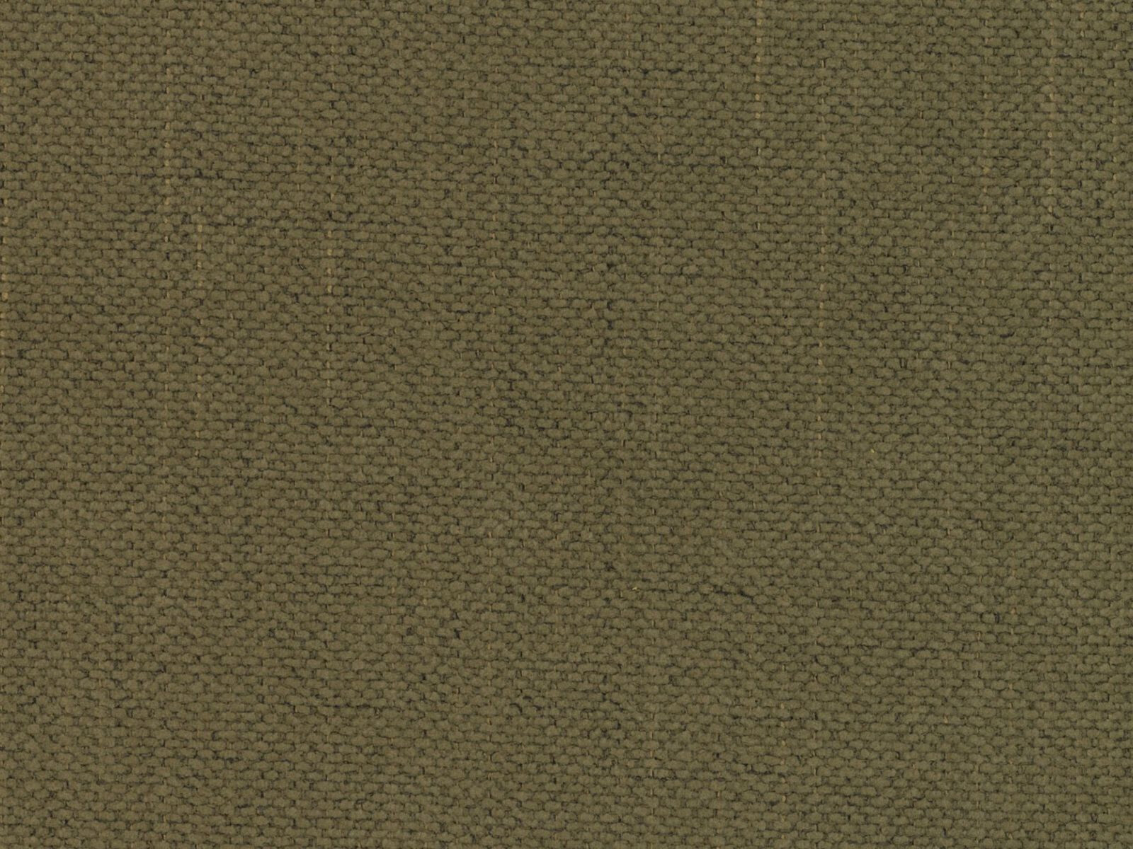 Sessel Beckley 353 (Moly 38)