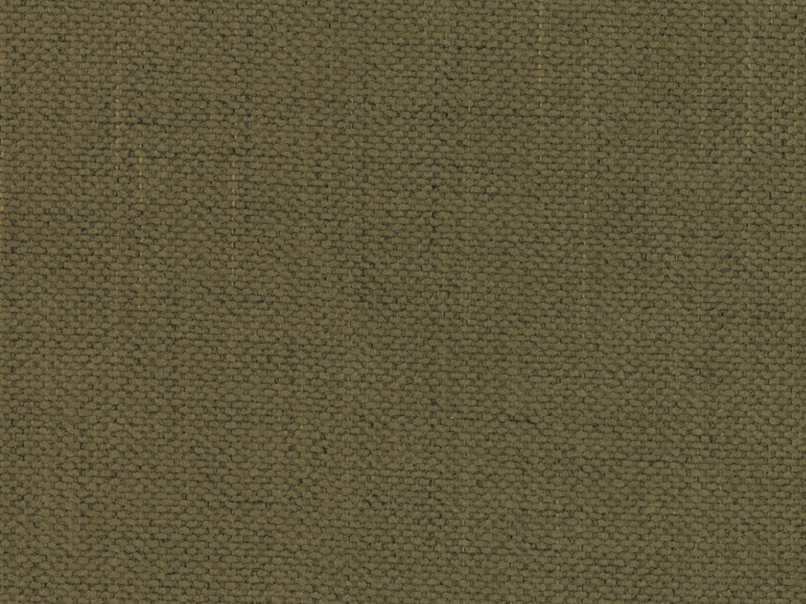 Sessel Beckley 355 (Moly 38)