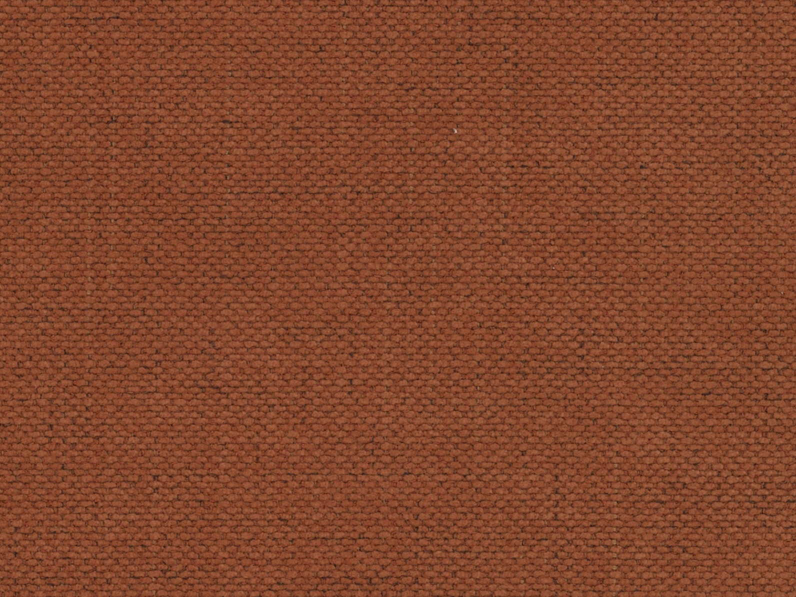 Sessel Beckley 355 (Moly 54)