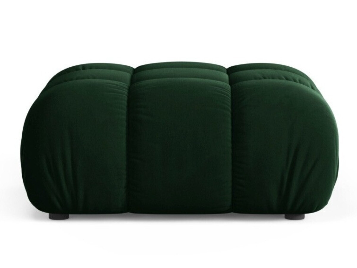 Hocker Caltenu 109 (Bluvel 78)