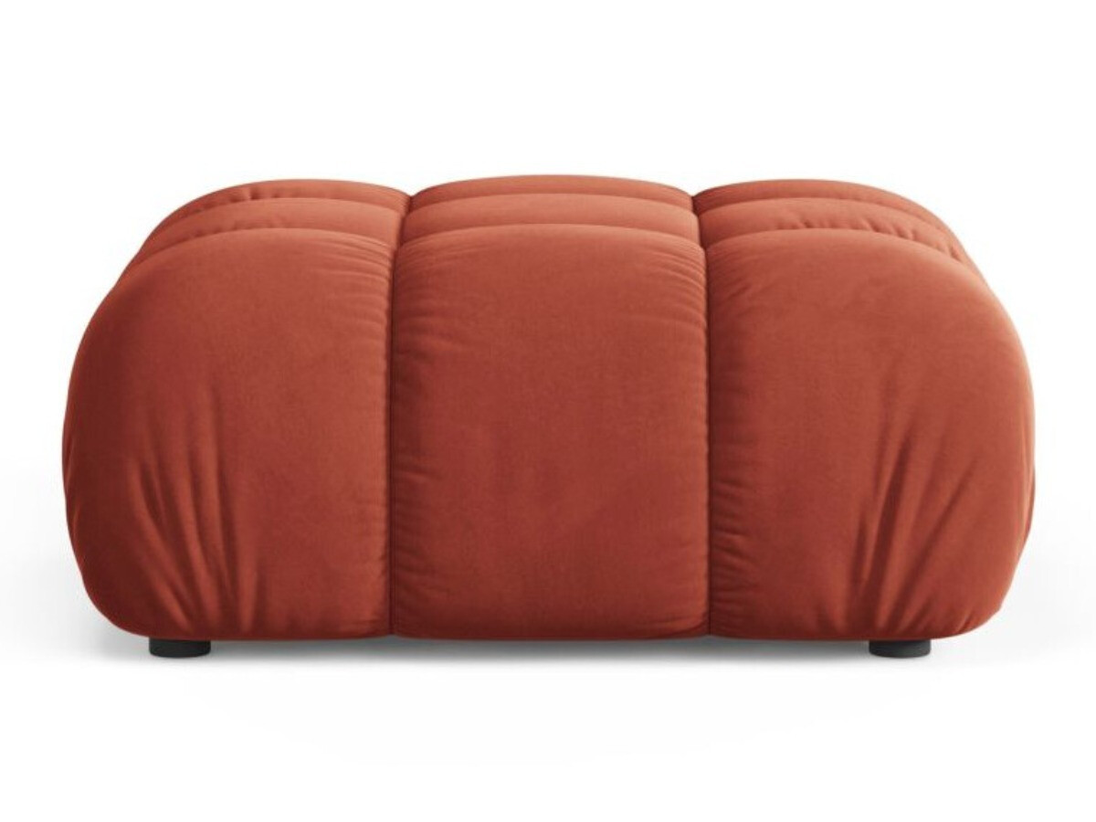Hocker Caltenu 109 (Venus 2933)